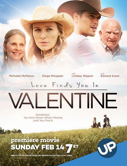 爱在瓦伦丁 Love Finds You in Valentine (2016)