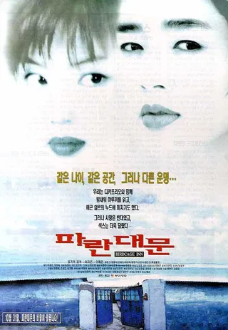 雏妓 파란대문 (1998)