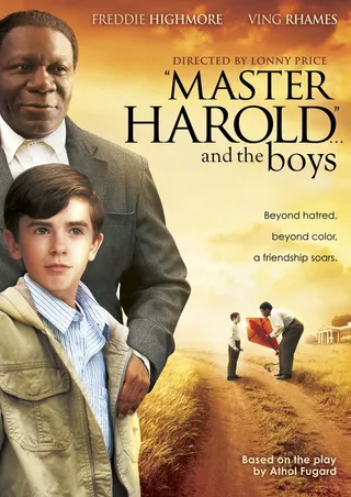 哈罗德主人与男孩 Master Harold... and the Boys (2010)