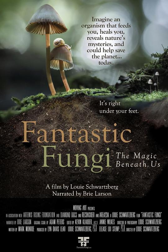 神奇的真菌 Fantastic Fungi (2019)