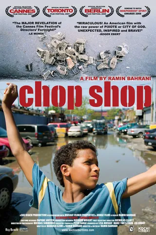 拉丁男孩的天空 Chop Shop (2007)