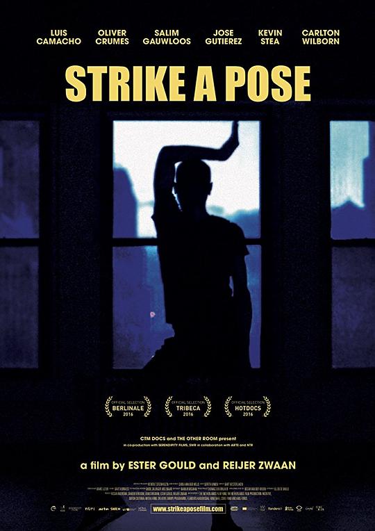 娜姐背后的男人 Strike a Pose (2016)