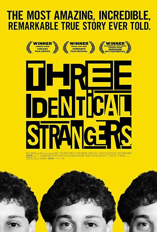 孪生陌生人 Three Identical Strangers (2018)