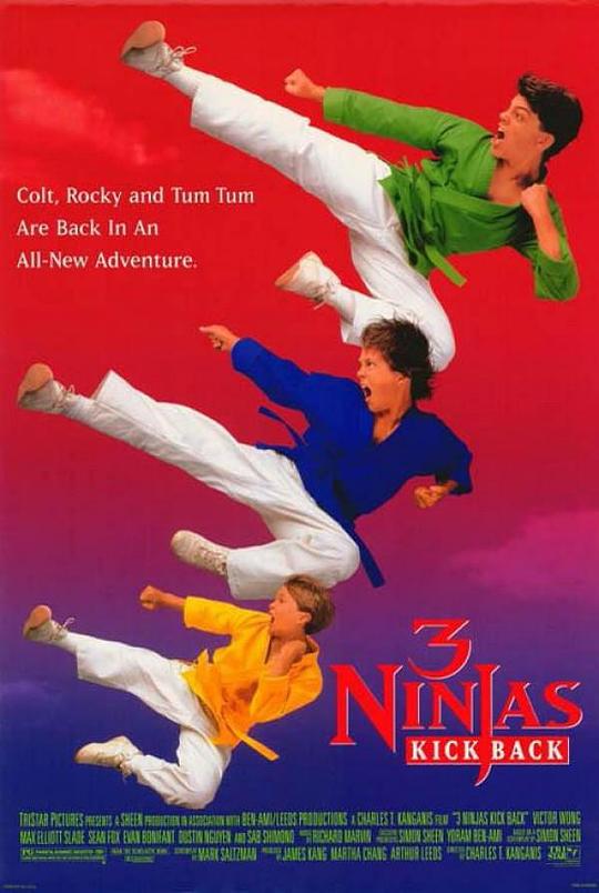 忍者小英雄2 3 Ninjas Kick Back (1994)