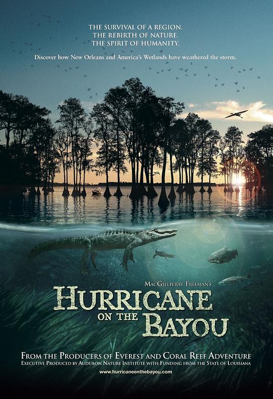 海湾的飓风 Hurricane on the Bayou (2006)