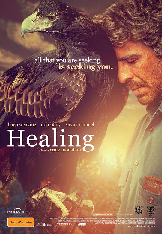 愈合 Healing (2014)