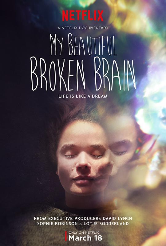 我美丽易碎的大脑 My Beautiful Broken Brain (2016)