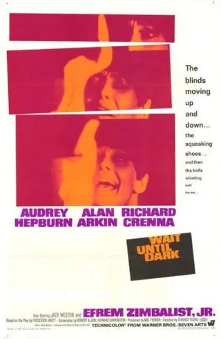 盲女惊魂记 Wait Until Dark (1967)