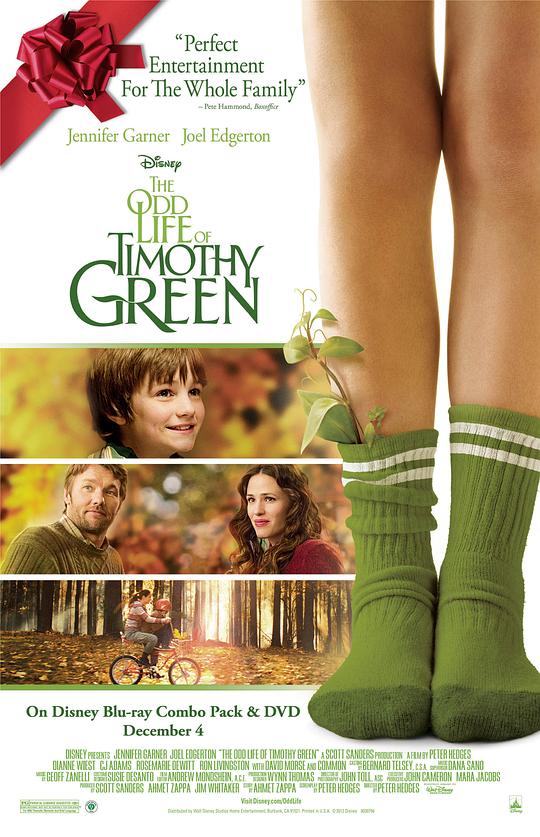 蒂莫西的奇异生活 The Odd Life of Timothy Green (2012)