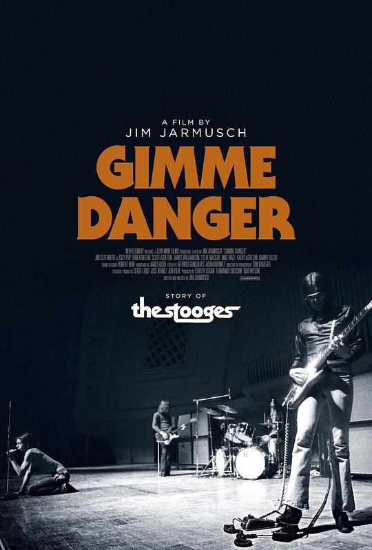 给我危险 Gimme Danger (2016)