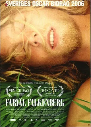 再见，福肯伯格 Farväl Falkenberg (2006)