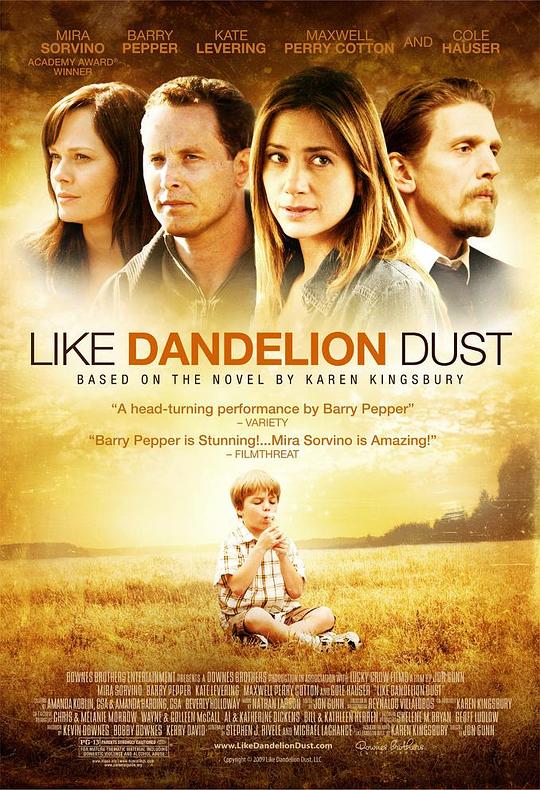 蒲公英的灰尘 Like Dandelion Dust (2009)