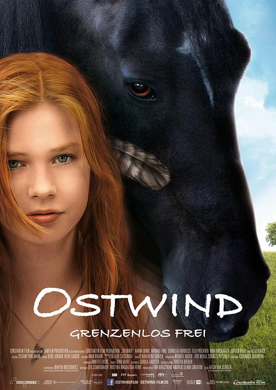 骏马奥斯温 Ostwind (2013)