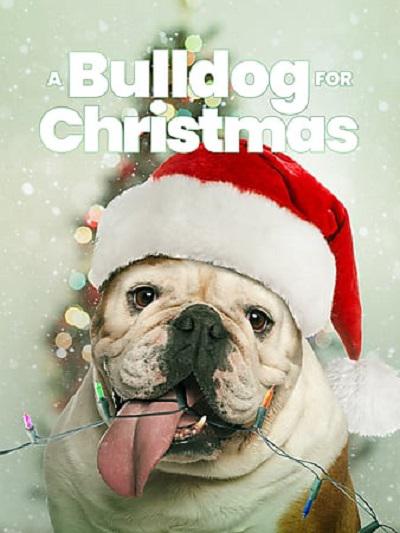 A Bulldog for Christmas  (2014)
