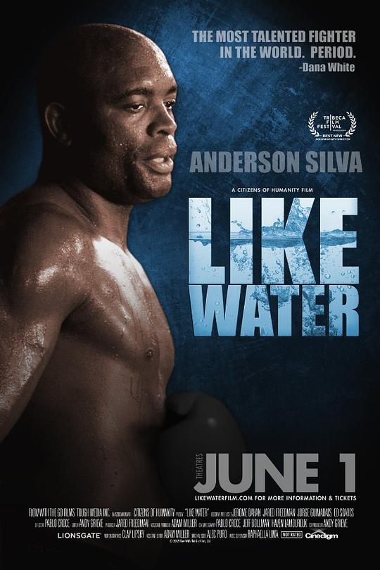 Like Water  (2011)