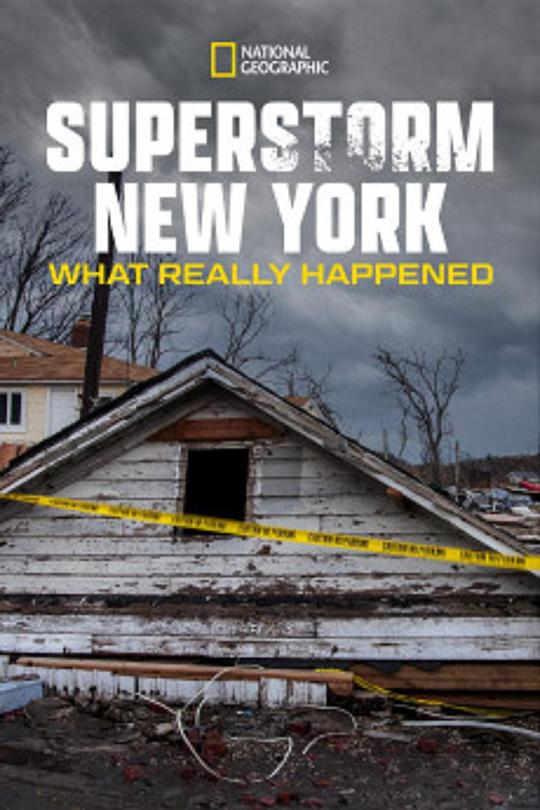 Superstorm New York: What Really Happened  (2012)