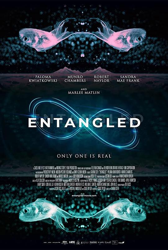 Entangled  (2019)