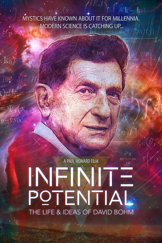 无限的潜能：大卫波姆的人生和想法 Infinite Potential: The Life and Ideas of David Bohm (2020)