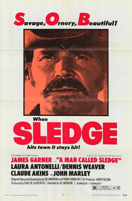 金关龙虎斗 A Man Called Sledge (1970)