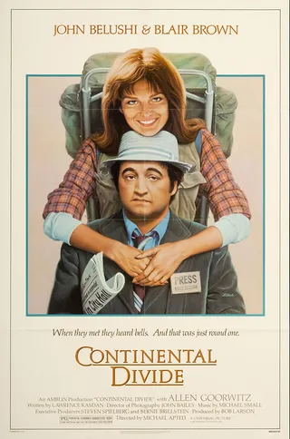 天南地北一线牵 Continental Divide (1981)