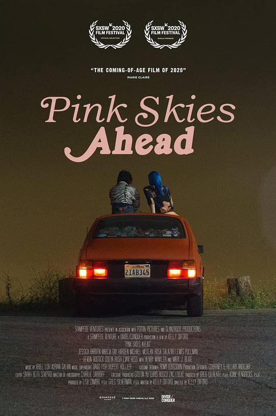 Pink Skies Ahead  (2020)