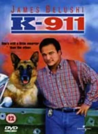 妙探狗福星2 K-911 (1999)