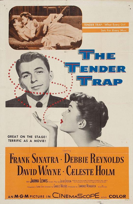 温柔陷井 The Tender Trap (1955)