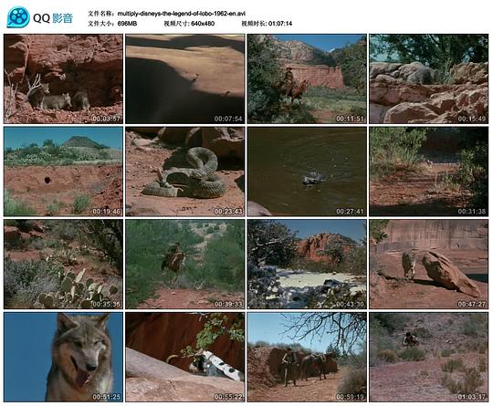 狼的传说 The Legend of Lobo (1962)