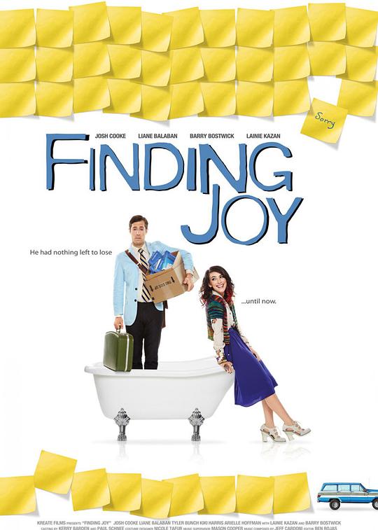 快乐难寻 Finding Joy (2012)