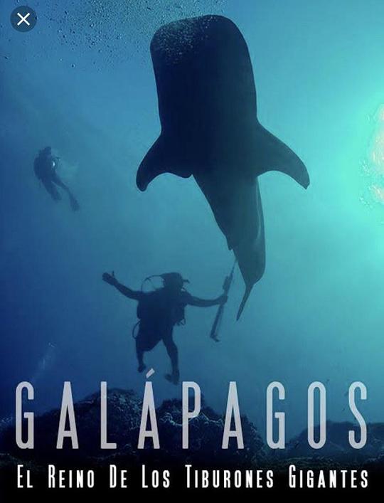 加拉帕戈斯群岛：巨大鲨鱼王国 Galapagos: Realm of Giant Sharks (2012)