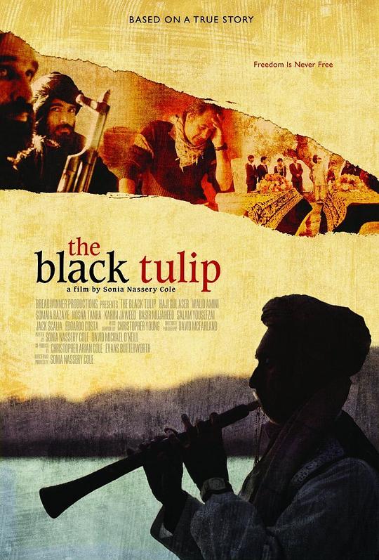 黑色郁金香 The Black Tulip (2010)