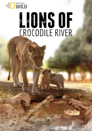 趟过鳄鱼河的狮子 Lions Of Crocodile River (2007)