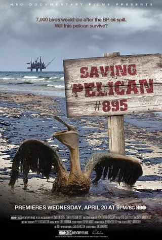 Saving Pelican 895  (2011)