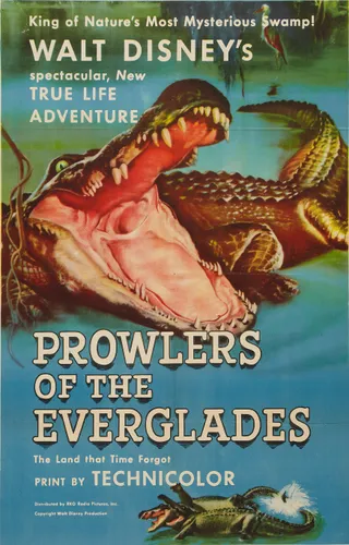 沼泽巡弋者 Prowlers of the Everglades (1953)