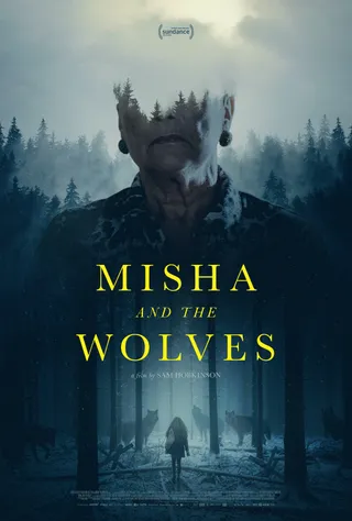 米沙与狼 Misha and the Wolves (2021)