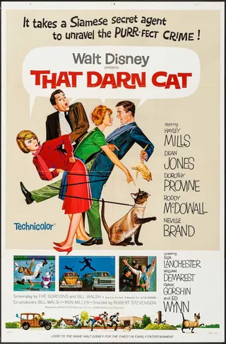 神猫密探队 That Darn Cat! (1965)