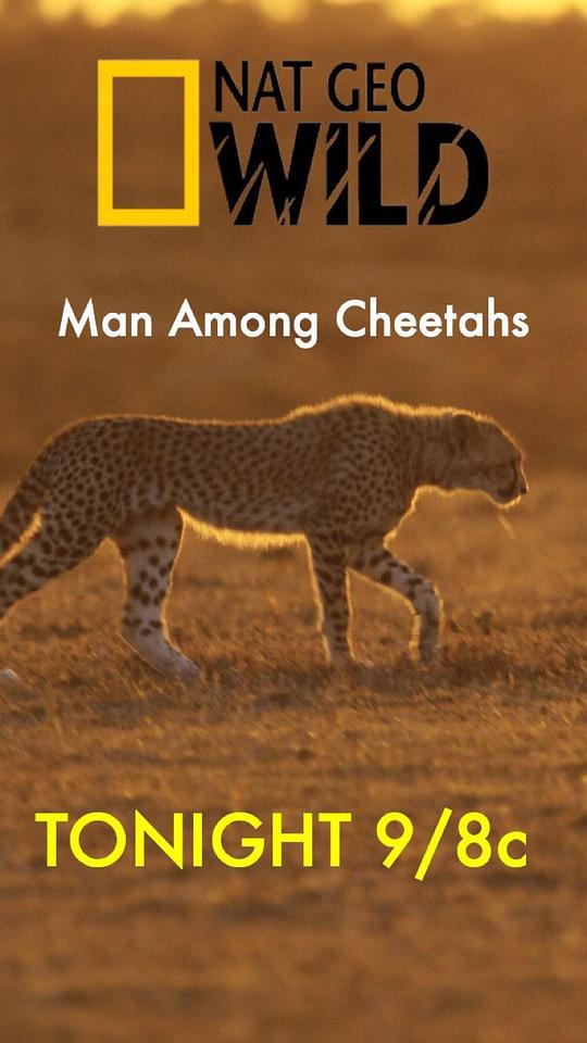 为母则强 Man Among Cheetahs (2017)