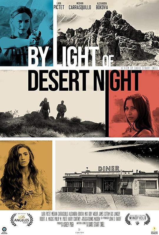 通过沙漠之夜 By Light of Desert Night (2019)