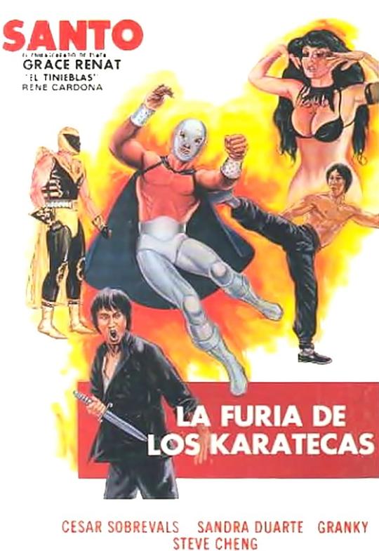 空手道杀手之怒 La furia de los karatecas (1982)