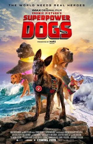 超级救援狗 Superpower Dogs (2019)