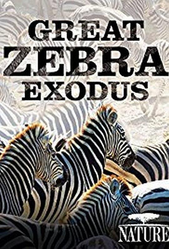 Great Zebra Exodus  (2013)