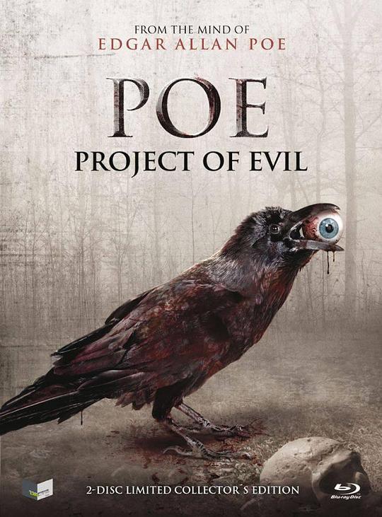 邪恶计划 P.O.E. Project of Evil (P.O.E. 2) (2012)