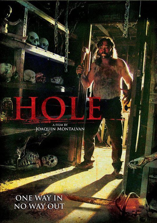 Hole  (2010)