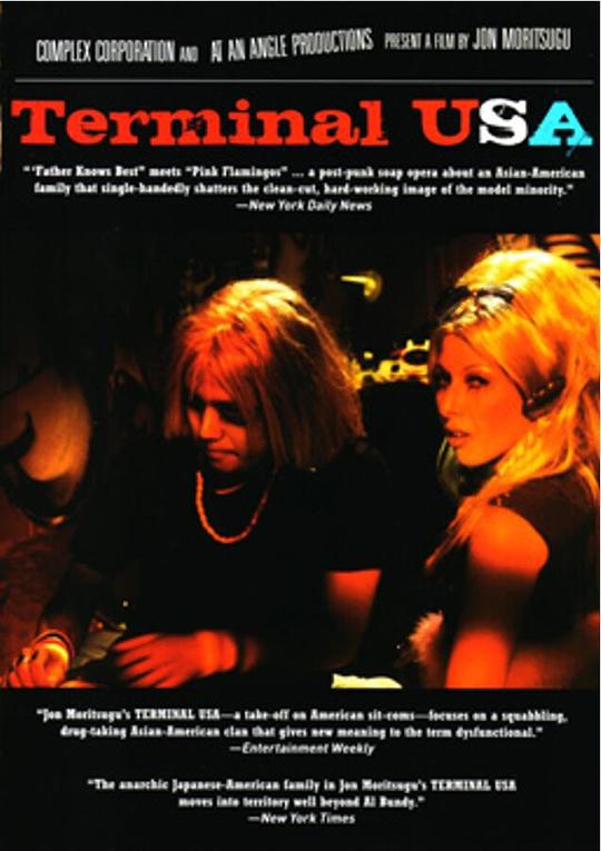 美国终点站 Terminal USA (1993)