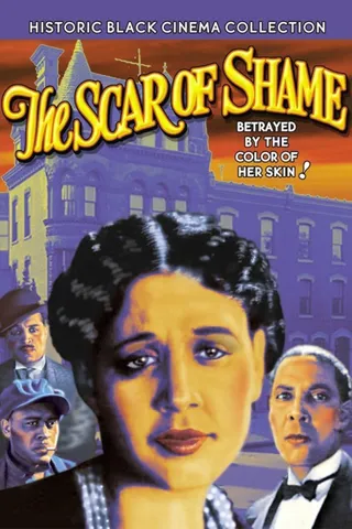 耻辱的疤痕 The Scar of Shame (1927)