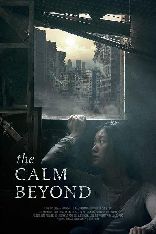 平静之外 The Calm Beyond (2020)