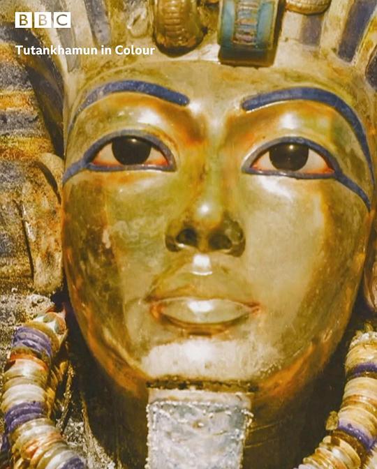 全彩少年法老 Tutankhamun in Colour (2020)