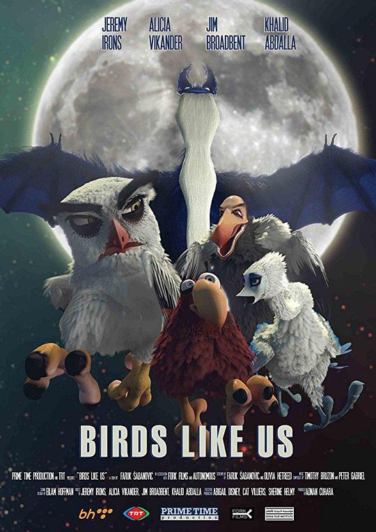 鸟儿们的奇幻冒险 Birds Like Us (2017)