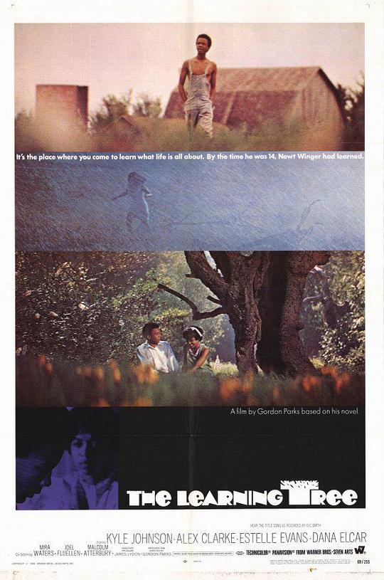 常识树 The Learning Tree (1969)