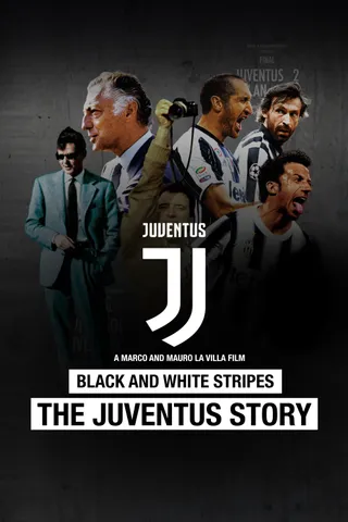 黑白条纹：尤文图斯的故事 Black and White Stripes: The Juventus Story (2014)